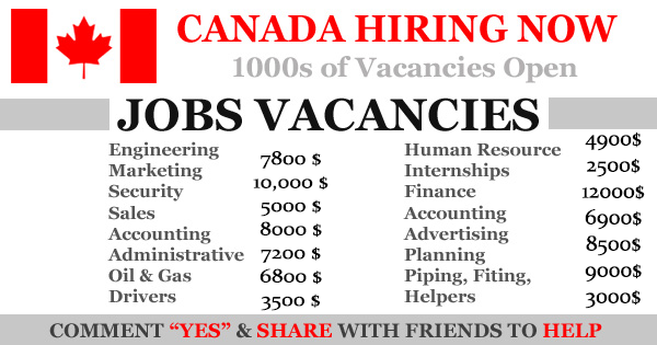 Exciting Job Opportunities In Canada For Foreigners 1000 Vacancies Dailynewsltd Net Find The Best Jobs Alert Job Vacancies Alert Free